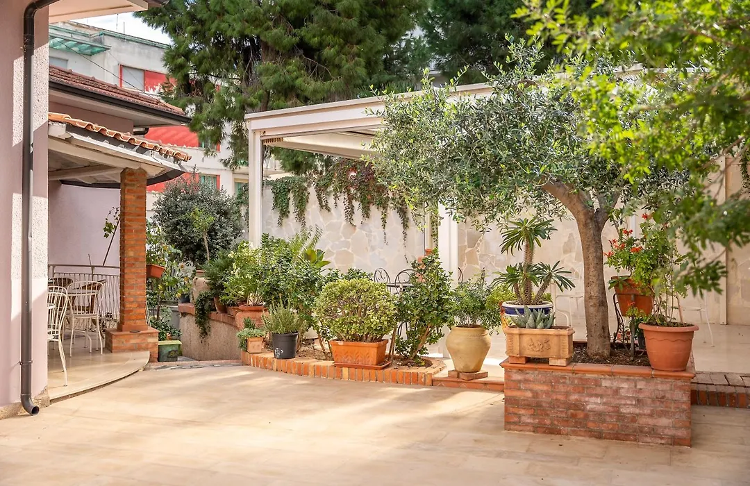 B&B Cumpari Turiddu-1