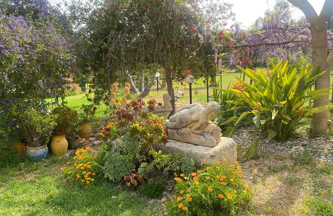 Agrib&B Lemontree Garde'N-1