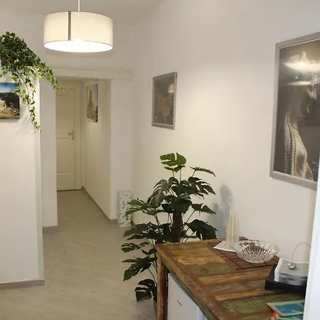 Ortyx Mini Suite-2